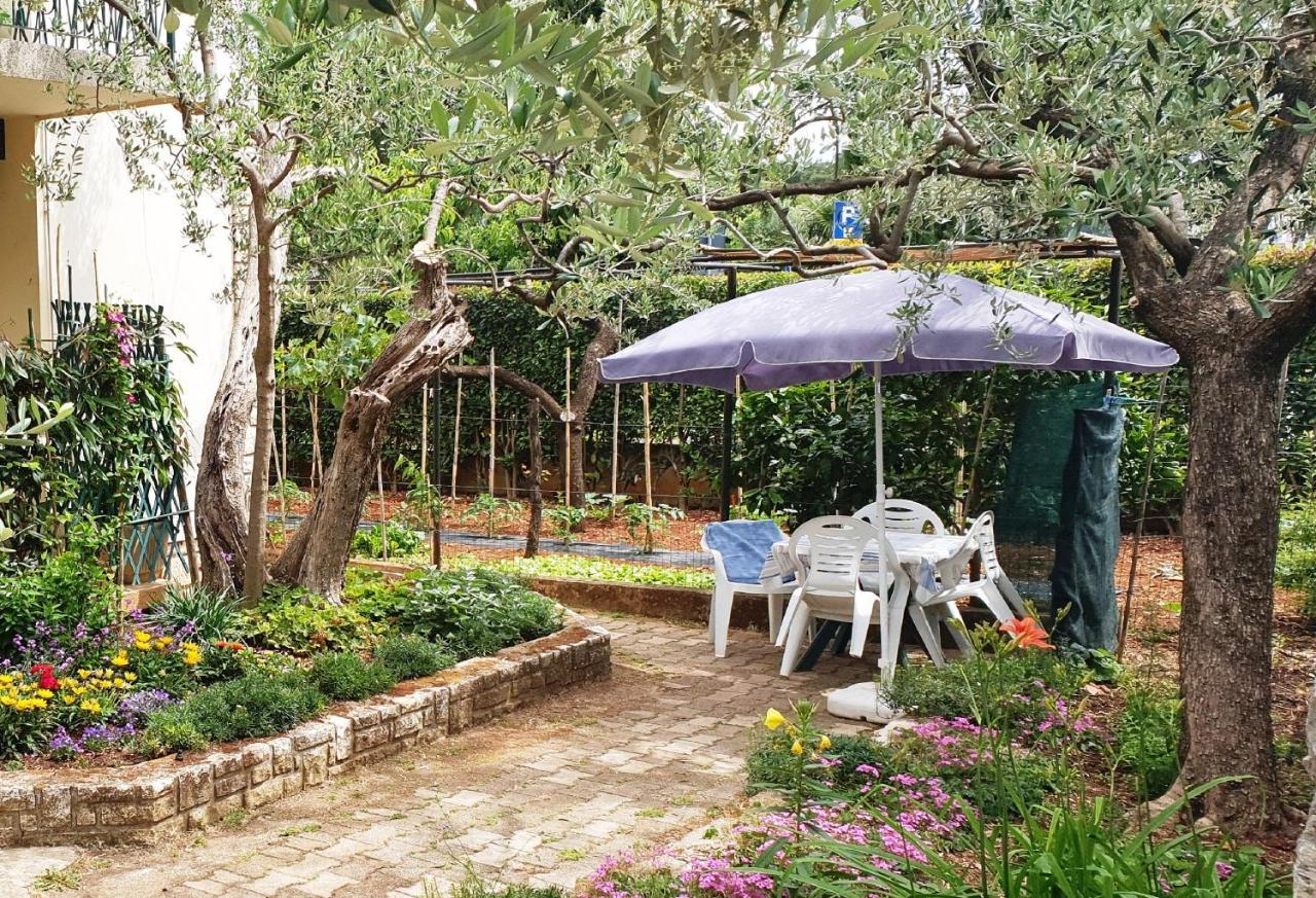 Cecillia Mare Apartments Rovinj Kültér fotó