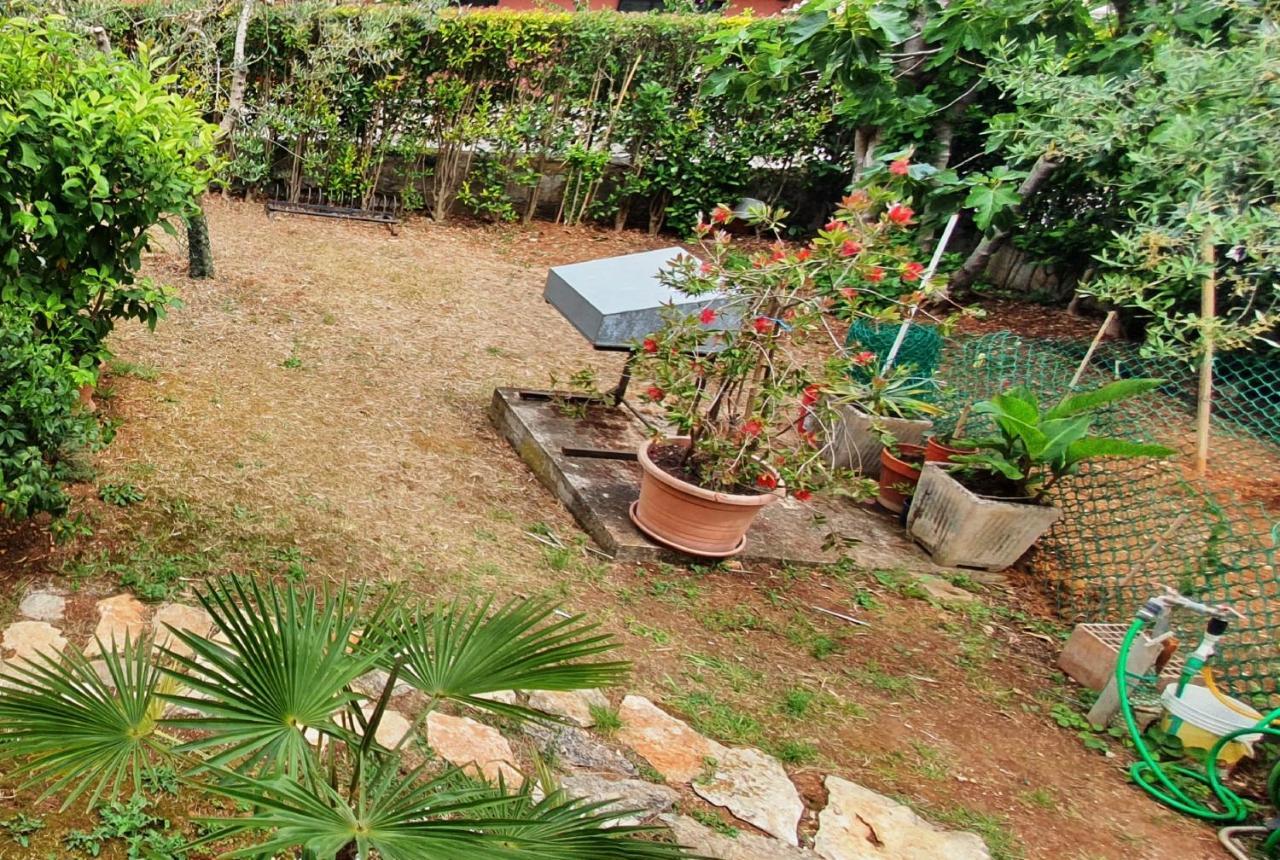 Cecillia Mare Apartments Rovinj Kültér fotó