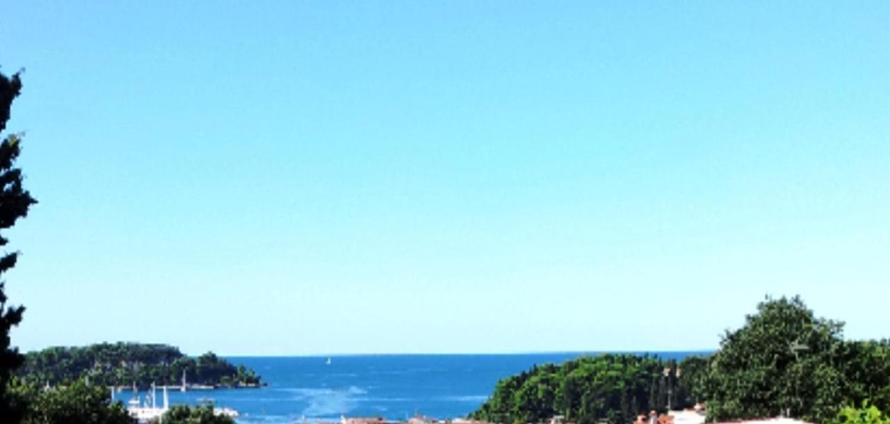 Cecillia Mare Apartments Rovinj Kültér fotó